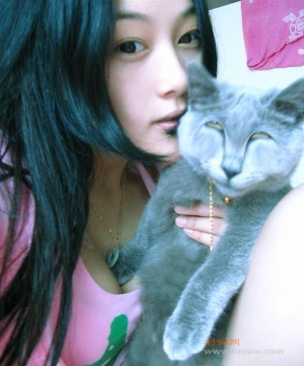 猫.jpg