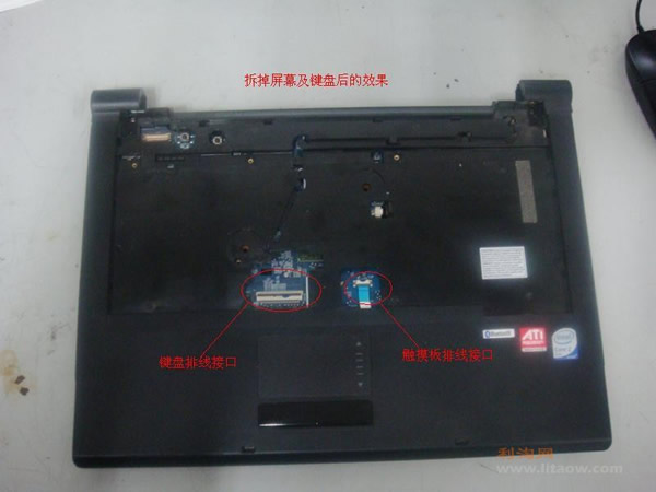 DSC01395.jpg