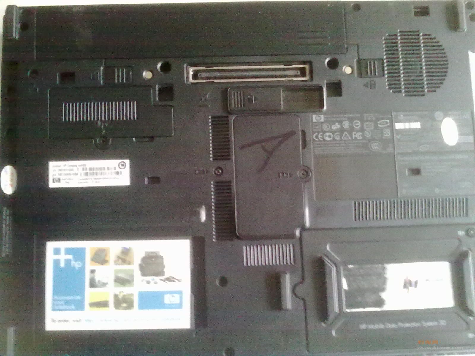 20110111016.jpg